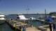 Put-in-Bay, Ohio So. 7.6.