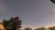 Carrum So. 7.6.