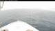 Norwegian Bliss So. 7.6.
