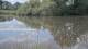 Les Landes-Genusson So. 7.6.
