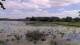Les Landes-Genusson So. 7.6.