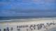 Norderney So. 7.6.