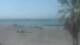 Cap d'Agde Mo. 8.6.