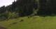 Going am Wilden Kaiser Mo. 8.6.