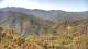Zhangjiajie Mo. 8.6.