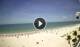 Fort Myers Beach, Florida Mo. 8.6.