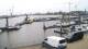 Delfzijl Mo. 8.6.