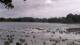 Les Landes-Genusson Mo. 8.6.