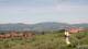 Pietrapiana Mo. 8.6.