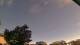 Carrum Mo. 8.6.