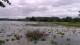 Les Landes-Genusson Mo. 8.6.