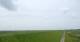 Westerhever Mo. 8.6.