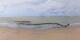 Saint-Brevin-les-Pins Mo. 8.6.