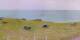 Donville-les-Bains Mo. 8.6.