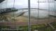 Brightlingsea Mo. 8.6.