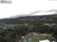 Hinterzarten Di. 9.6.
