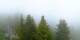 Arosa Di. 9.6.