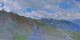 Goldeck Di. 9.6.