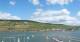 Bingen am Rhein Di. 9.6.