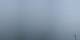 Grindelwald Di. 9.6.