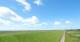 Westerhever Di. 9.6.