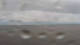 Eriskirch Di. 9.6.
