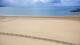 Royan Mi. 10.6.