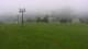 Witów Mi. 10.6.