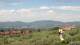 Pietrapiana Mi. 10.6.