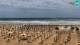 Bibione Mi. 10.6.