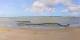 Saint-Brevin-les-Pins Mi. 10.6.