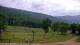 Nellysford, Virginia Mi. 10.6.