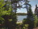 Hoel Pond, New York Do. 11.6.