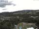 Hinterzarten Do. 11.6.
