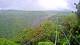 Kuranda Do. 11.6.