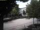 Salzgitter Do. 11.6.