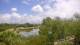 Lakewood Ranch, Florida Do. 11.6.
