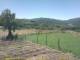 Cantalupo Ligure Do. 11.6.