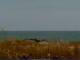 Cape Canaveral, Florida Do. 11.6.