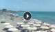 Torre Mozza Do. 11.6.