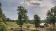 Davidsonville, Maryland Do. 11.6.