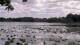 Les Landes-Genusson Do. 11.6.
