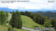 Schulterkogel Do. 11.6.