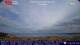 Marta Do. 11.6.