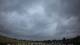 Winterton Do. 11.6.