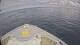 Norwegian Joy Do. 11.6.