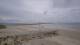 Cherbourg-Octeville Do. 11.6.