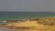 El Palmar de Vejer Do. 11.6.