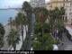 Malaga Do. 11.6.