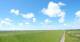 Westerhever Do. 11.6.